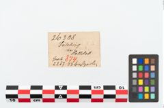 Etikett zu Perlenkette (NHMW-PRAE-026308)
